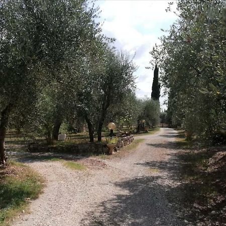 Nel Chianti Lungo La Francigena Apartment Colle Val D'Elsa Exterior photo
