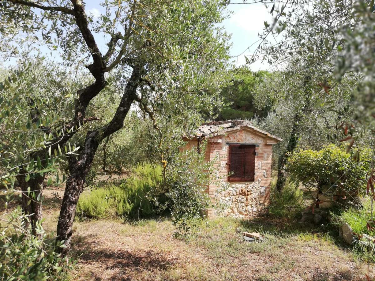 Nel Chianti Lungo La Francigena Apartment Colle Val D'Elsa Exterior photo