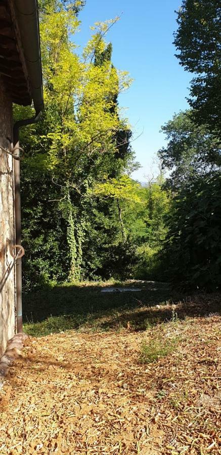 Nel Chianti Lungo La Francigena Apartment Colle Val D'Elsa Exterior photo
