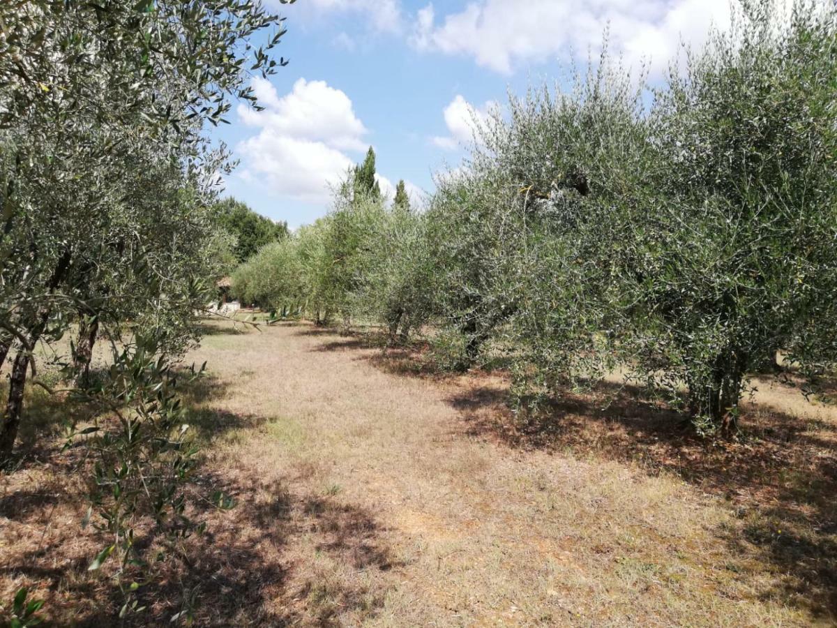 Nel Chianti Lungo La Francigena Apartment Colle Val D'Elsa Exterior photo