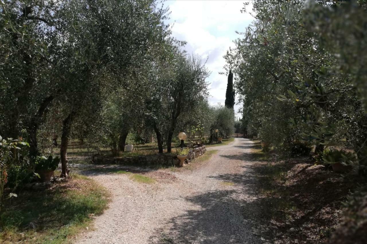 Nel Chianti Lungo La Francigena Apartment Colle Val D'Elsa Exterior photo